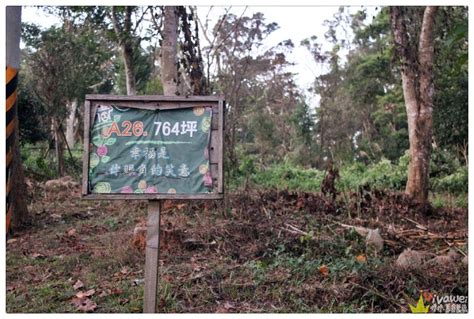 我想買一塊地|苗栗三義農地推薦｜『自在森林農地』買一塊地擁有一座山~在國 